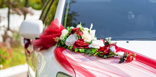 Wedding Transfer Img1